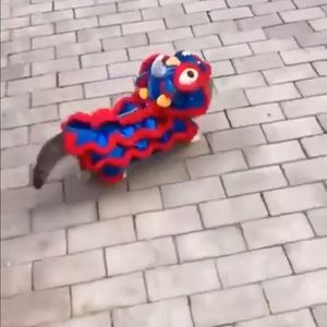 Meet your Posher, Sasha